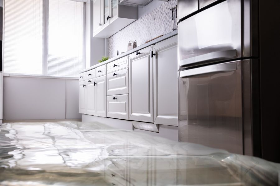 Appliance Leaks by Team Delta
