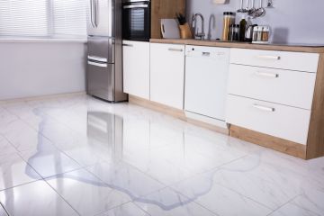 Appliance Leaks in Lake Mathews, California