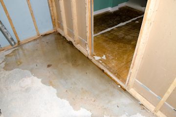 Sewage Contamination cleanup by Team Delta