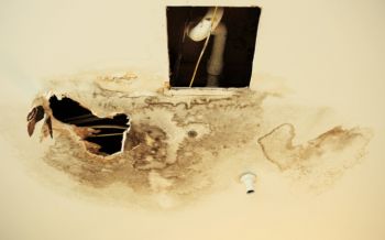 Burst Pipes in Lake Mathews, California by Team Delta