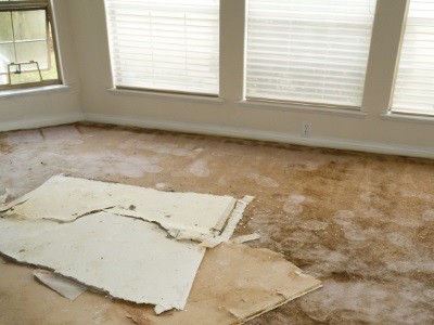 Water damage restoration in Lake Mathews by Team Delta