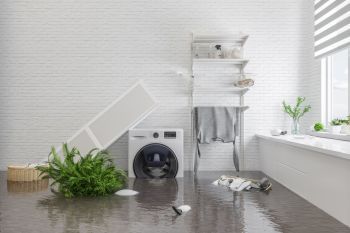 Basement Flooding Services in Lake Mathews, California