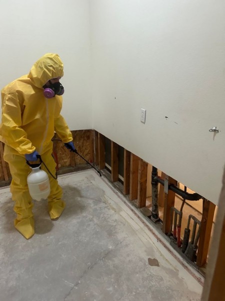 Mold Testing & Remediation
